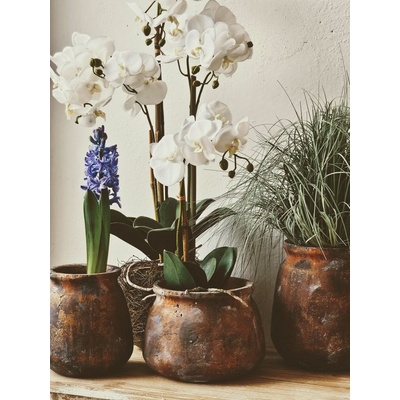 Dekorácia umelá kvetina Orchidea s koreňmi a machom - 32*32*75 cm - J-Line by Jolipa