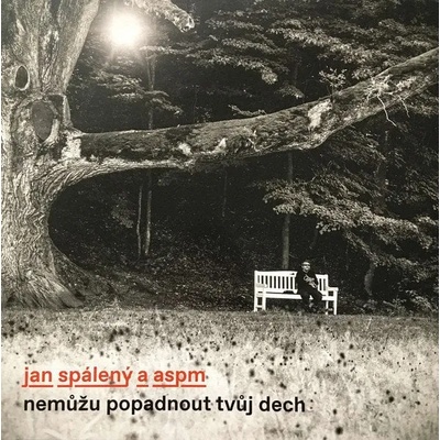 Jan Spálený A ASPM - Nemůžu popadnout tvůj dech (LP) (190295494605)