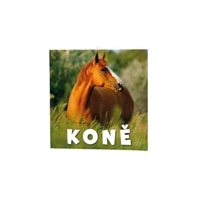 Koně nástěnný autor neuvedený 2027