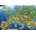 Bluebird Puzzle - Puzzle European Landmarks - 1 000 piese