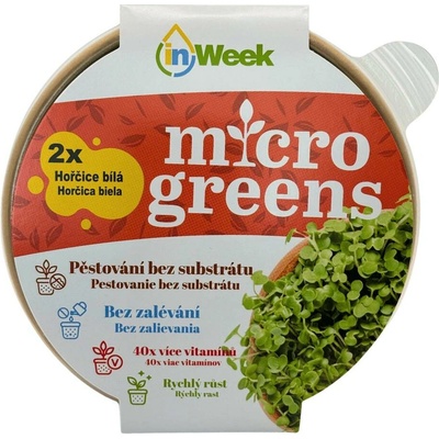 Hořčice bílá microgreens semínka + dárek k nákupu