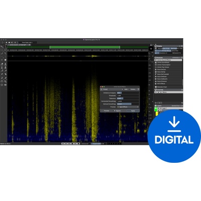 Steinberg SpectraLayers Pro 13 Comp. CG (Digitálny produkt)