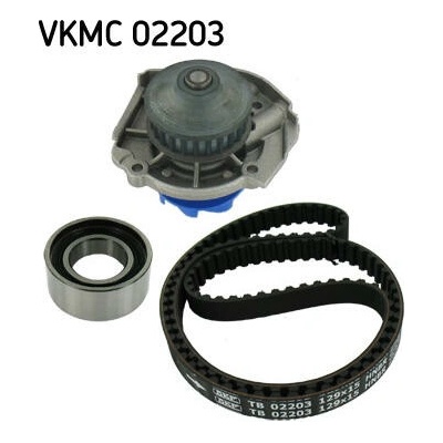 SKF VKMC02203