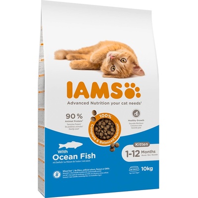 IAMS Cat Kitten Ocean Fish 10 kg