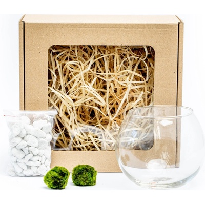 Gardners Skleněná váza boule 13 cm a 2 řasokoule v dárkovém balení Cladophora Aegagropila – Zboží Dáma