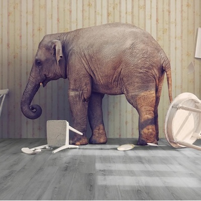 My Floor Ламиниран паркет Evolution 3900 12 мм AC4/32 V4