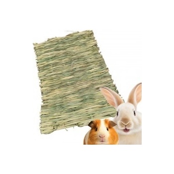 Aniland Podložka z trávy MINI 30 x 20 cm