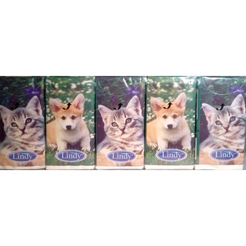 Lindy Носни кърпи 1бр/10бр - 10бр (3041)