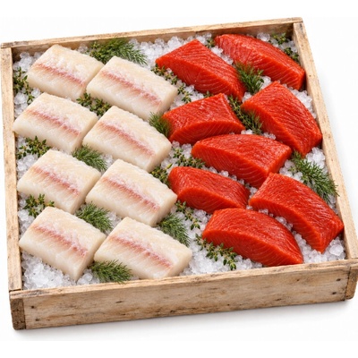 BOXXI Box našich divochů Losos & Treska 2400 g