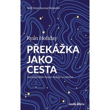 Překážka jako cesta / Jak měnit těžké životní zkoušky ve vítězství - Holiday Ryan