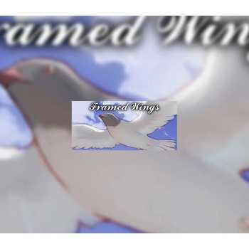 Framed Wings