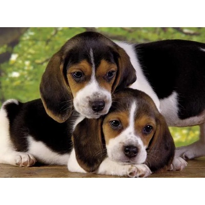 Clementoni - Puzzle Close Together - 500 piese