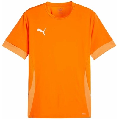 Puma teamGoal Matchday Jersey M 705747 08
