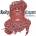 Body Count - Carnivore CD