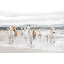 Komar 8-986 Fototapeta bílé koně 8 dílná White Horses rozměry 368 x 254 cm