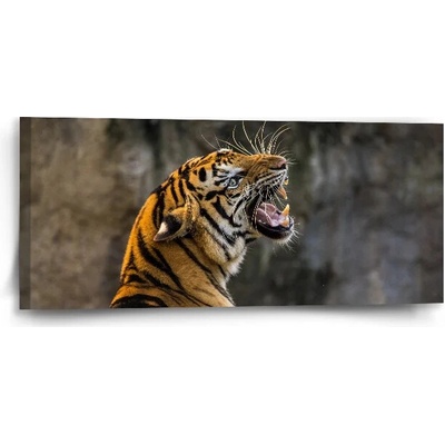 Sablio Obraz Revúci tiger - 110x50 cm