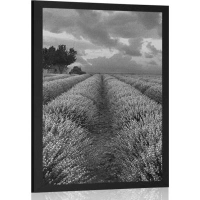 Plakát levandulové pole v černobílém provedení - 20x30 white