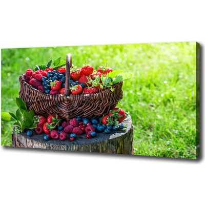 Foto obraz na plátne Kôš lesného ovocia 100x50 cm