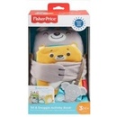 Fisher-Price hebká senzorická knížka