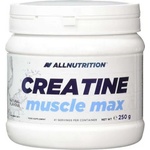 ALLNUTRITION Creatine Muscle Max 250 g