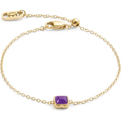 COEUR DE LION Birthstone FEBRUÁR 1301300800