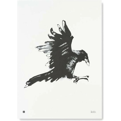 Teemu Järvi Plagát s motívom havrana Raven 50x70
