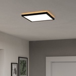 EGLO 901442-LED баня ROVITO 13, 4W/230V 29x29cm IP44 черно (EG901442)