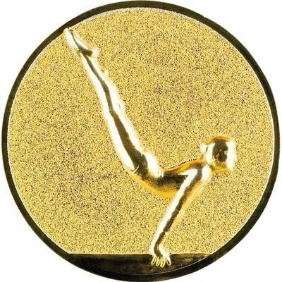 0420 Emblém gymnastika
