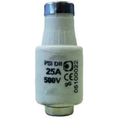 PROTECCLASS PROTEC Pojistka 25A gG 05100022
