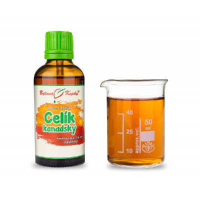 Bylinné kapky Celík (zlatobyľ) kanadský - kvapky Duša rastlín (tinktúra) 50 ml