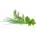 Click & Grow Семена Click and Grow Микс зелени подправки, 9 броя (PPMCGX9)