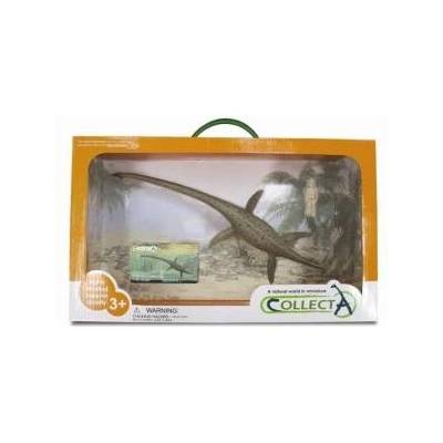 CollectA Thalassomedon 1: 40 89883 COLLECTA