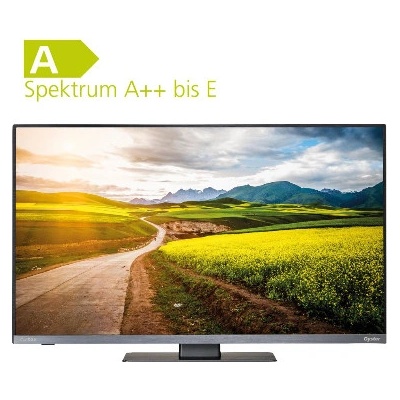 Oyster Basic TV 19,5“
