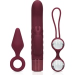 Loveline (S)explore Toy Kit for Her Dark Cherry