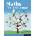 Maths the Basics | June Haighton, Deborah Holder, Veronica Thomas