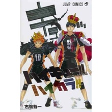 HAIKYU!! COLOR ILLUSTRATIONS ARTBOOK VO JAPONAIS