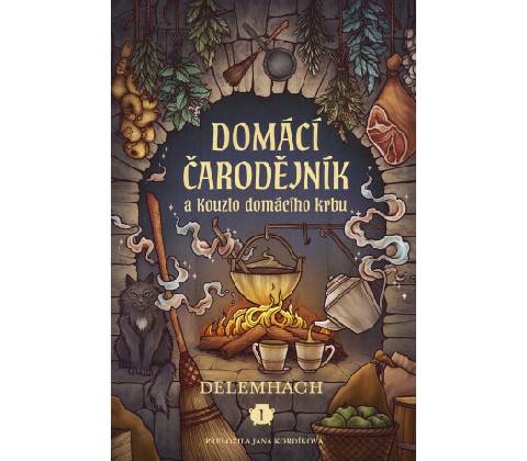 Domácí čarodějník