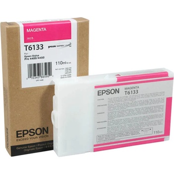 Epson T6133