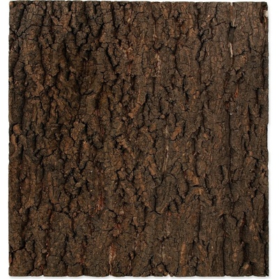 Repti Planet pozadí přírodní korek 43,5x41 cm – Hledejceny.cz