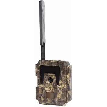 Image 1 of NUM'AXES PIE1046