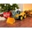 Big Power-Worker Maxi-Loader
