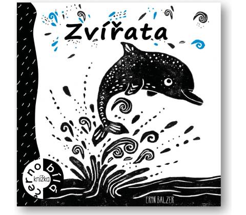Zvířata