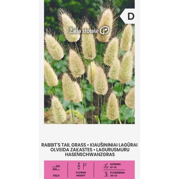 Image 1 of Seklos Декоративна трева Заешка опашка Lagurus ovatus L