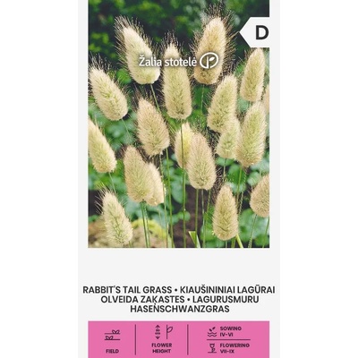 Seklos Декоративна трева Заешка опашка Lagurus ovatus L