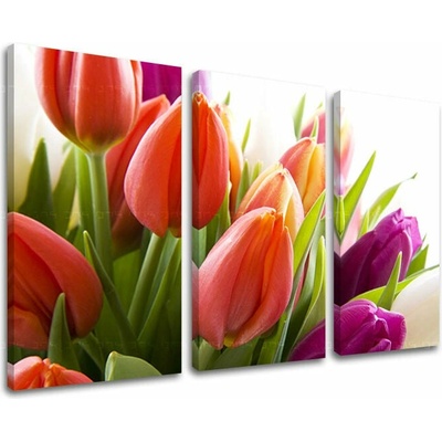 Obraz na stenu KVETY - 60x40