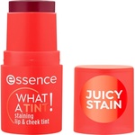 Essence стик за устни и бузи КАКЪВ НЮАНС! 20