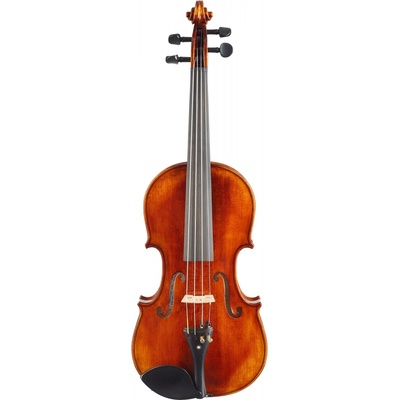 Violin Schönbach Golden Brown