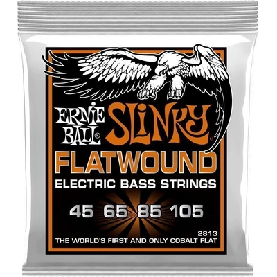 Ernie Ball 2813