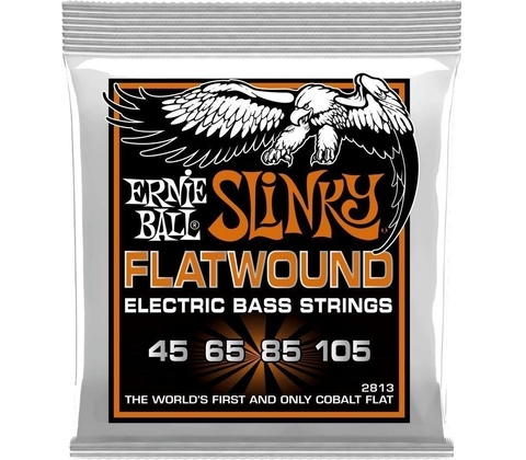 Ernie Ball 2813