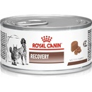 Krmivo pre psov Royal Canin Recovery 195 g